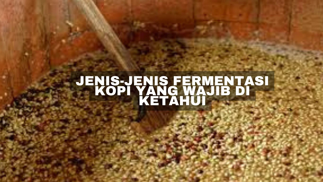 Jenis-Jenis Fermentasi Kopi Yang Wajib di Ketahui