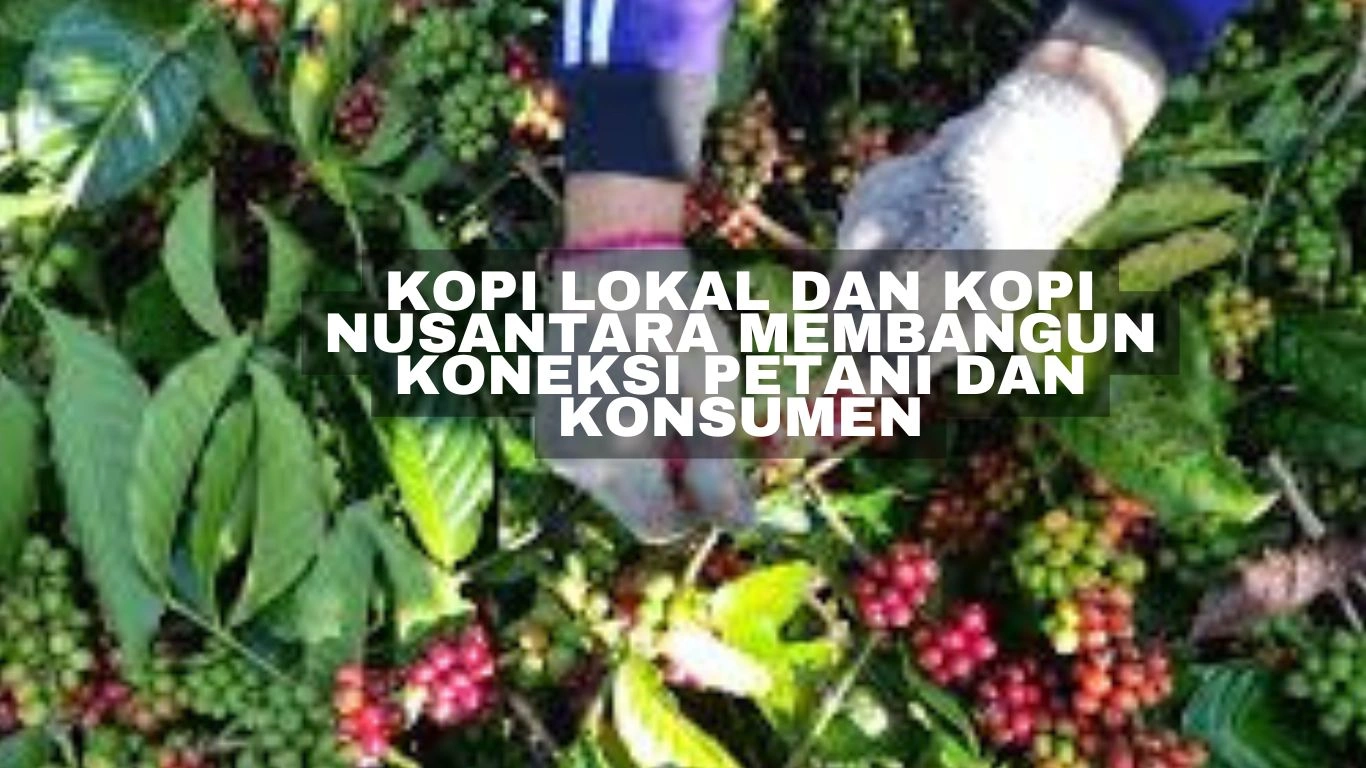 kopi lokal dan kopi nusantara membangun koneksi petani dan konsumen