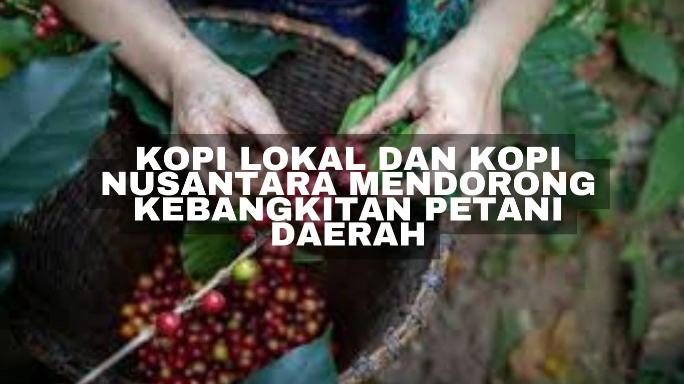 kopi lokal dan kopi nusantara mendorong kebangkitan petani daerah