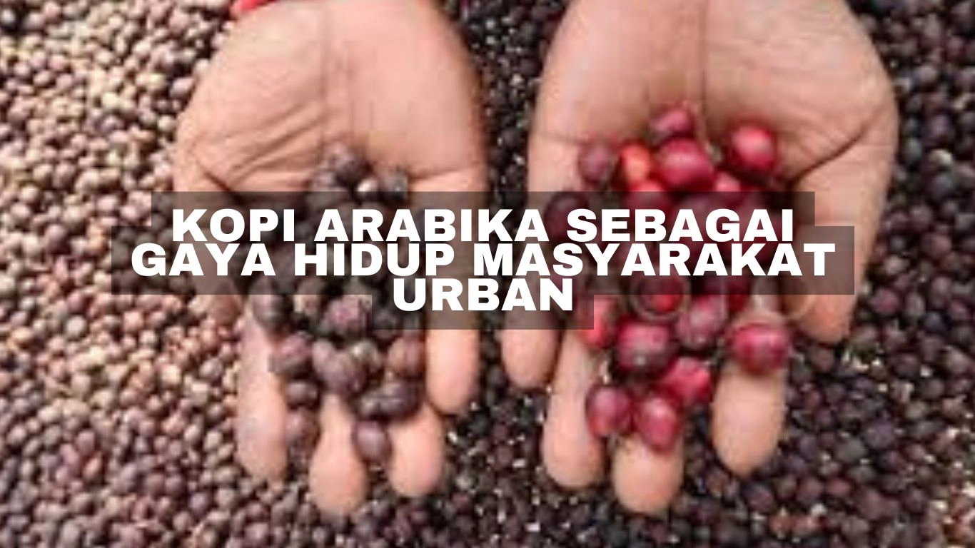 Kopi Arabika sebagai gaya hidup masyarakat urban