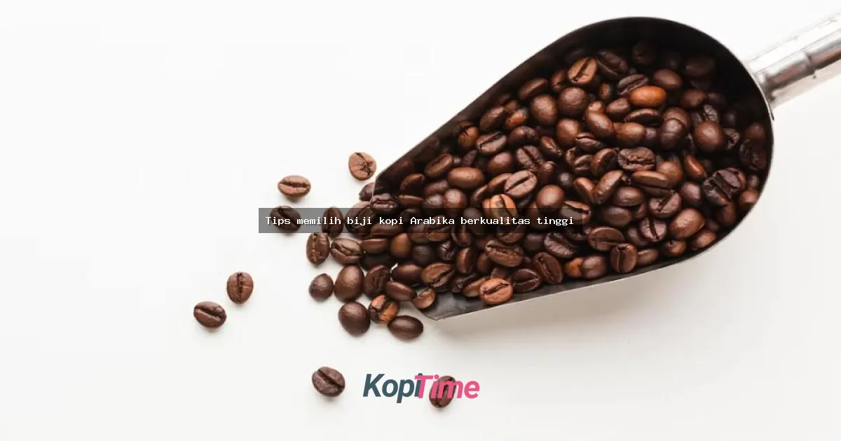 Tips memilih biji kopi Arabika berkualitas tinggi