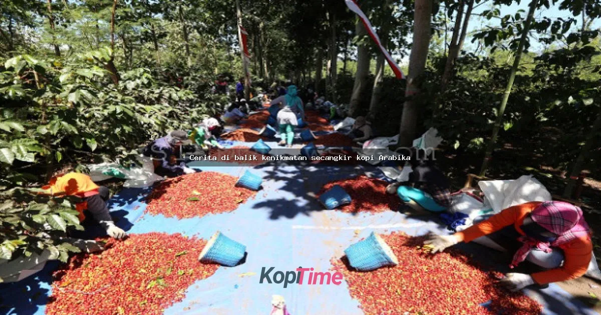 Cerita di balik kenikmatan secangkir kopi Arabika