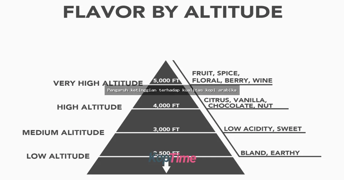 Pengaruh ketinggian terhadap kualitas kopi arabika