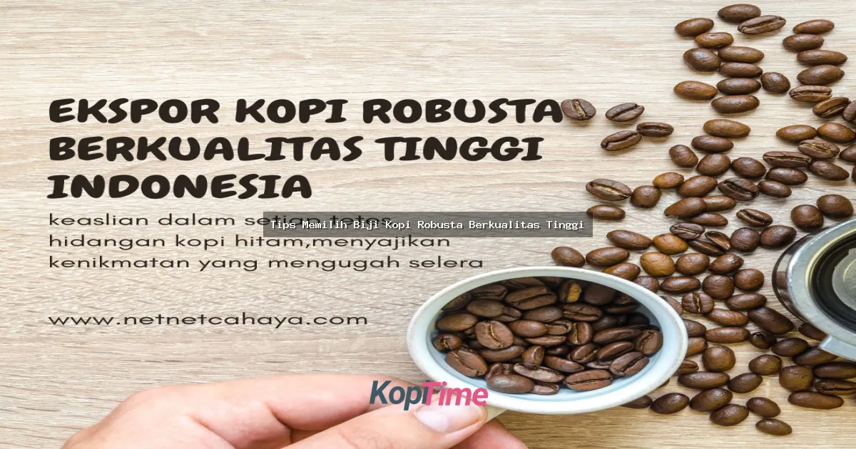 Tips Memilih Biji Kopi Robusta Berkualitas Tinggi