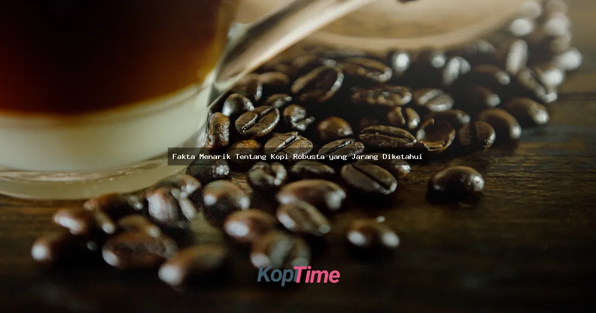 Fakta Menarik Tentang Kopi Robusta yang Jarang Diketahui