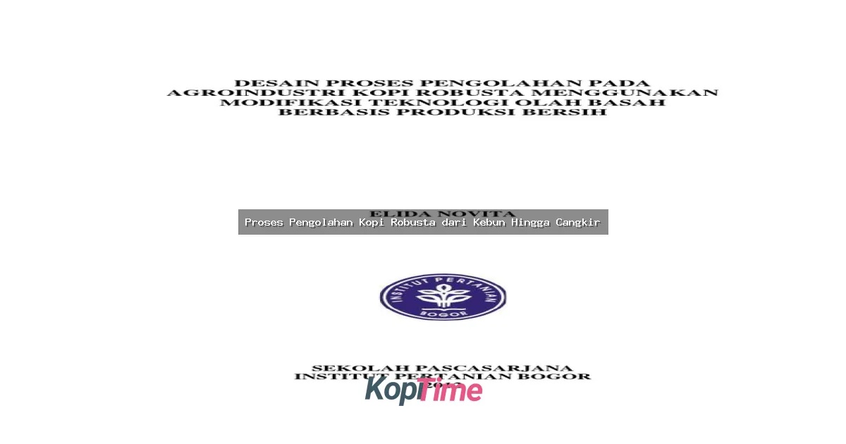 Proses Pengolahan Kopi Robusta dari Kebun Hingga Cangkir