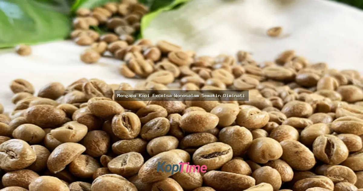 Mengapa Kopi Excelsa Wonosalam Semakin Diminati