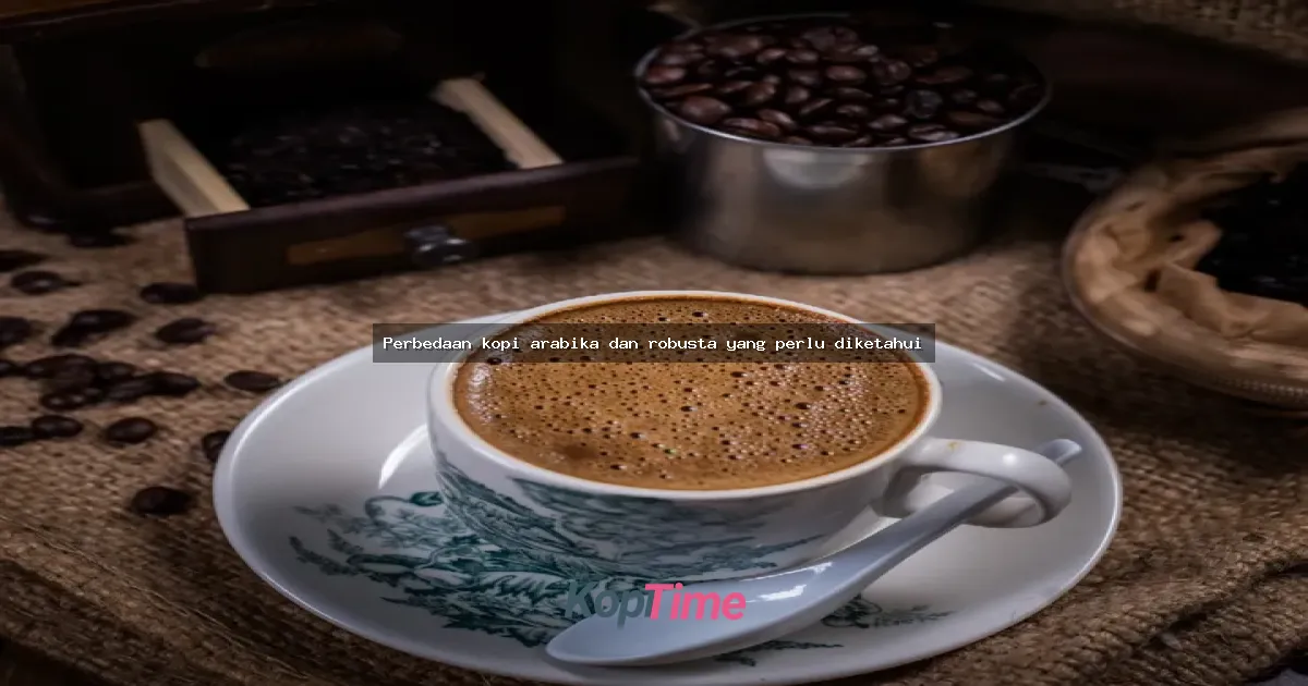 Perbedaan kopi arabika dan robusta yang perlu diketahui