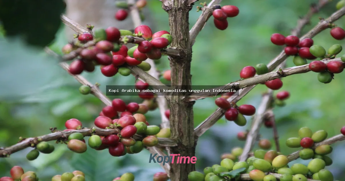 Kopi Arabika sebagai komoditas unggulan Indonesia