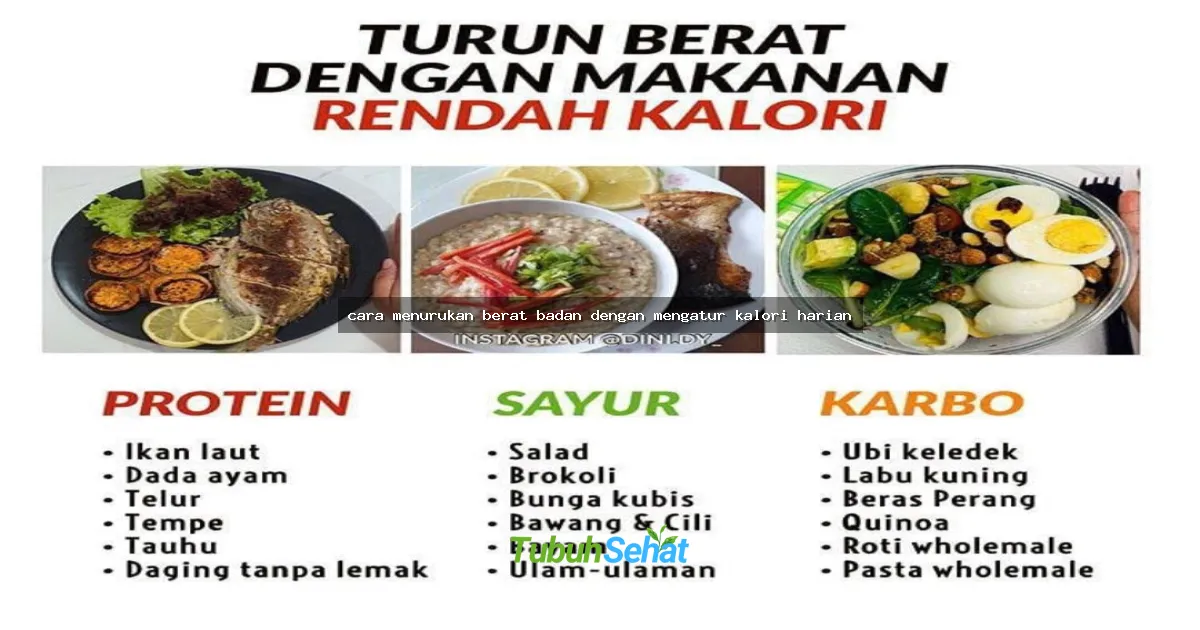 cara menurukan berat badan dengan mengatur kalori harian