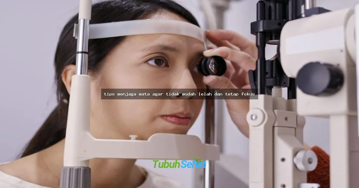 tips menjaga mata agar tidak mudah lelah dan tetap fokus