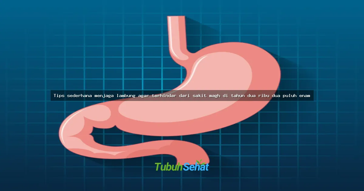Tips sederhana menjaga lambung agar terhindar dari sakit magh di tahun dua ribu dua puluh enam