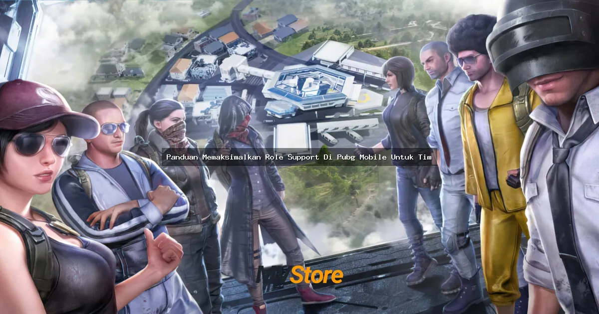 Panduan Memaksimalkan Role Support Di PUBG Mobile Untuk Tim: Gak Cuma Jadi Beban!