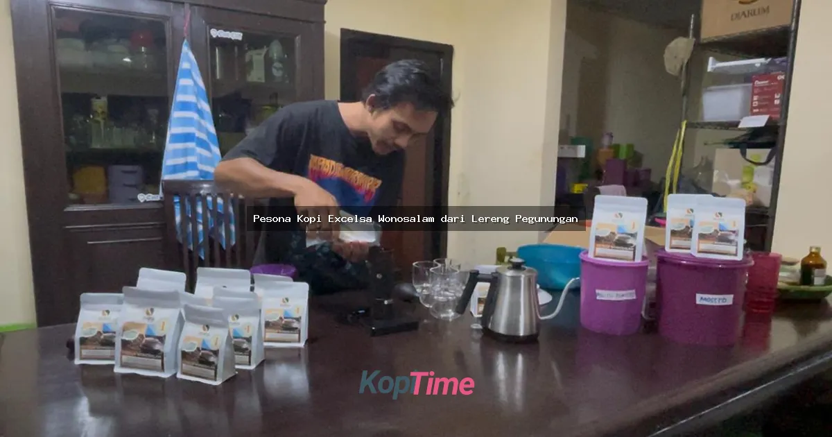 Pesona Kopi Excelsa Wonosalam dari Lereng Pegunungan