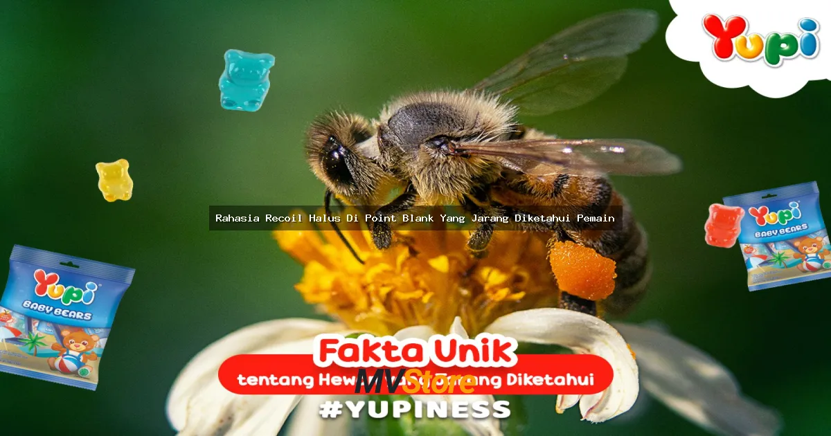 Rahasia Recoil Halus Di Point Blank Yang Jarang Diketahui Pemain