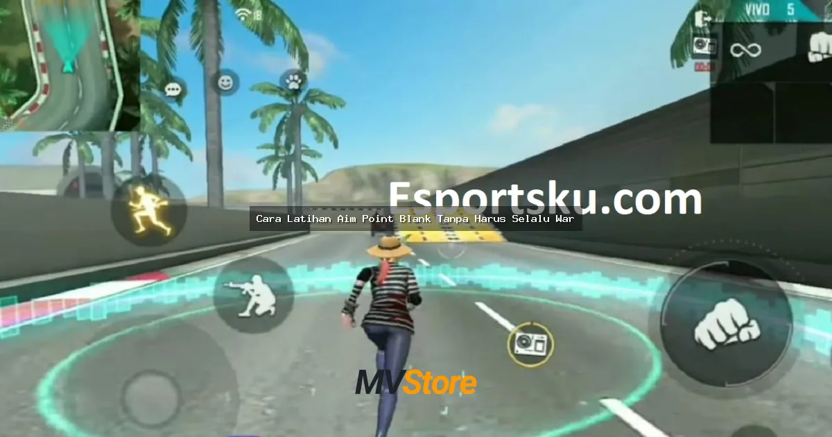 Cara Latihan Aim Point Blank Tanpa Harus Selalu War