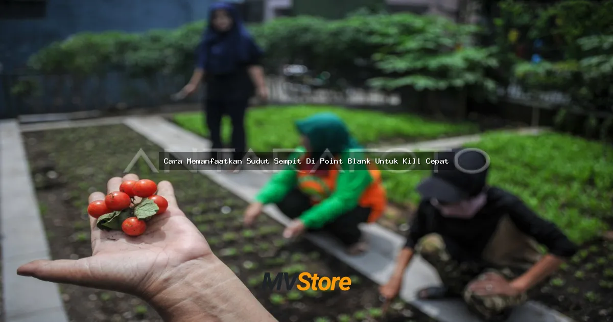Cara Memanfaatkan Sudut Sempit Di Point Blank Untuk Kill Cepat