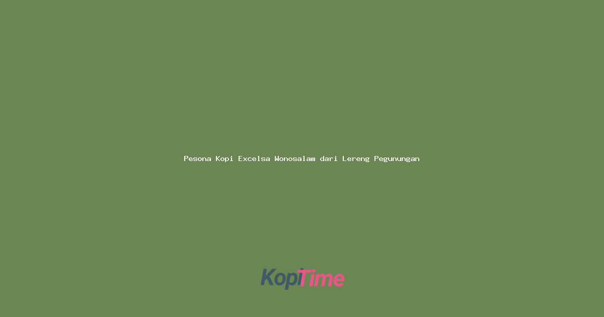 Pesona Kopi Excelsa Wonosalam dari Lereng Pegunungan