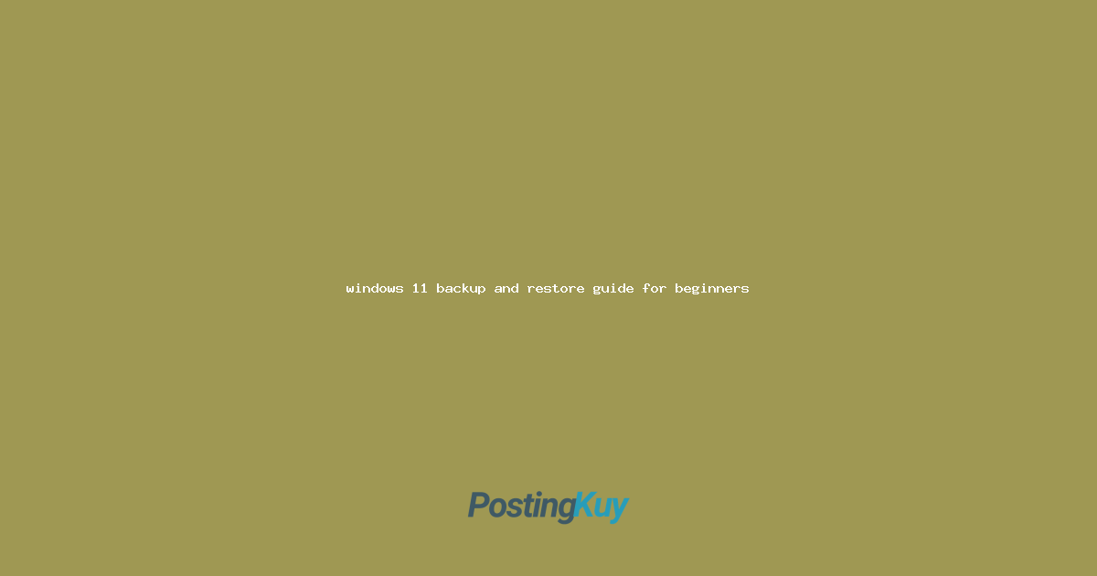 windows 11 backup and restore guide for beginners