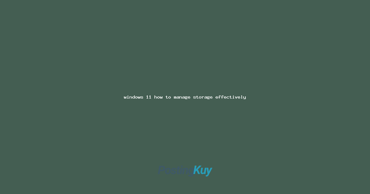 windows 11 how to manage storage effectively