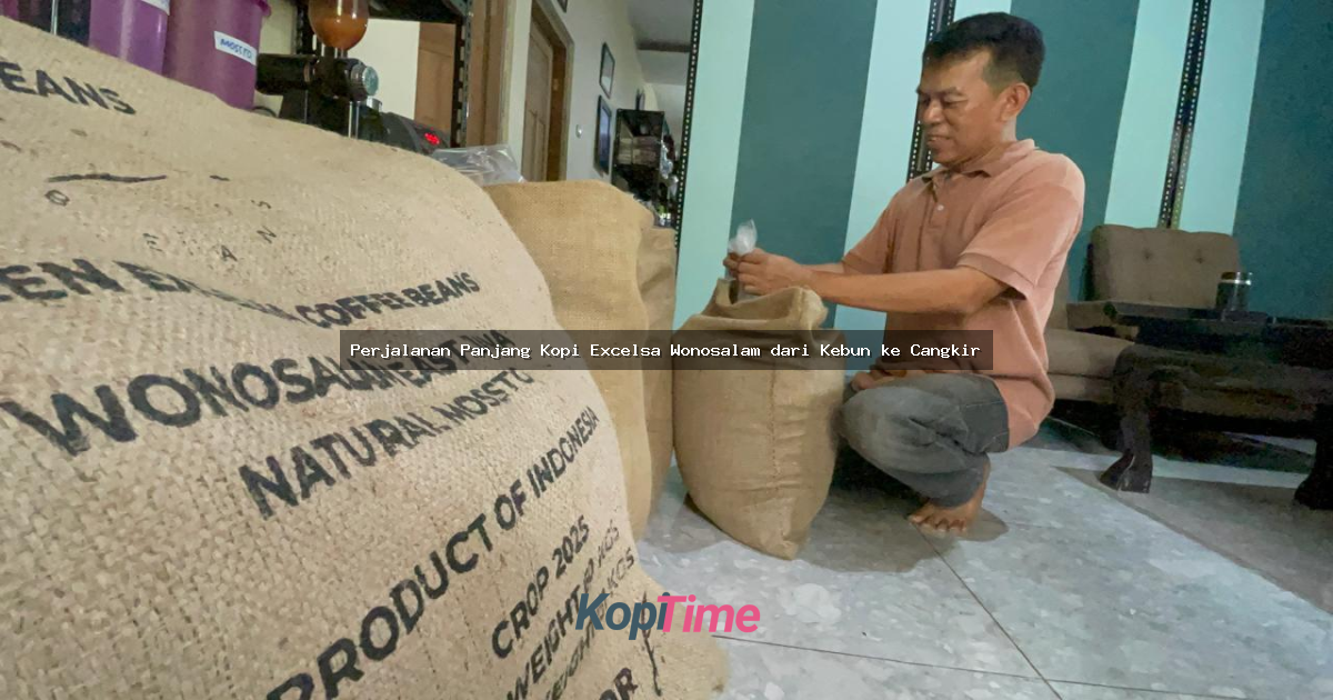 Perjalanan Panjang Kopi Excelsa Wonosalam dari Kebun ke Cangkir