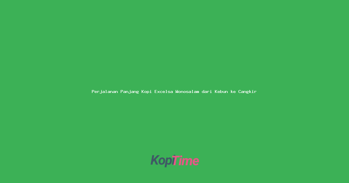 Perjalanan Panjang Kopi Excelsa Wonosalam dari Kebun ke Cangkir