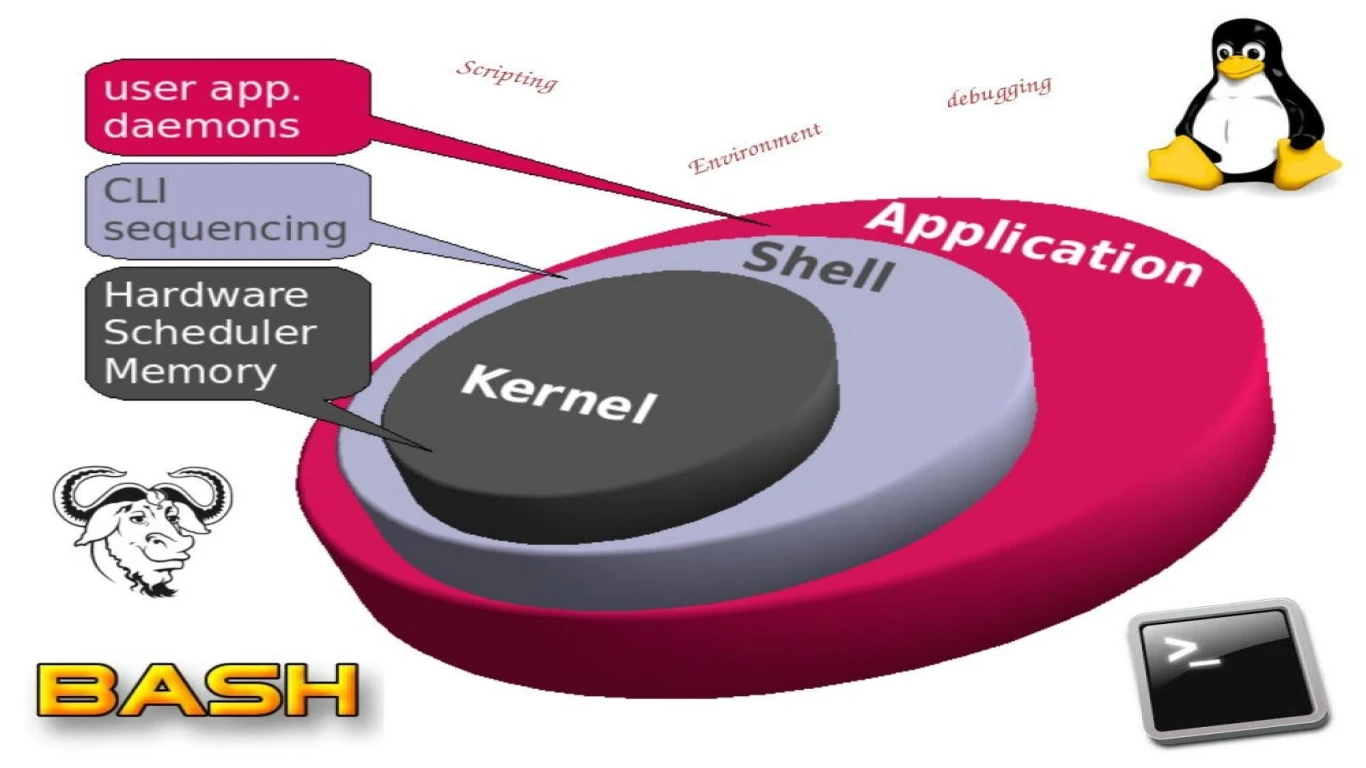 Belajar Shell Scripting di Linux