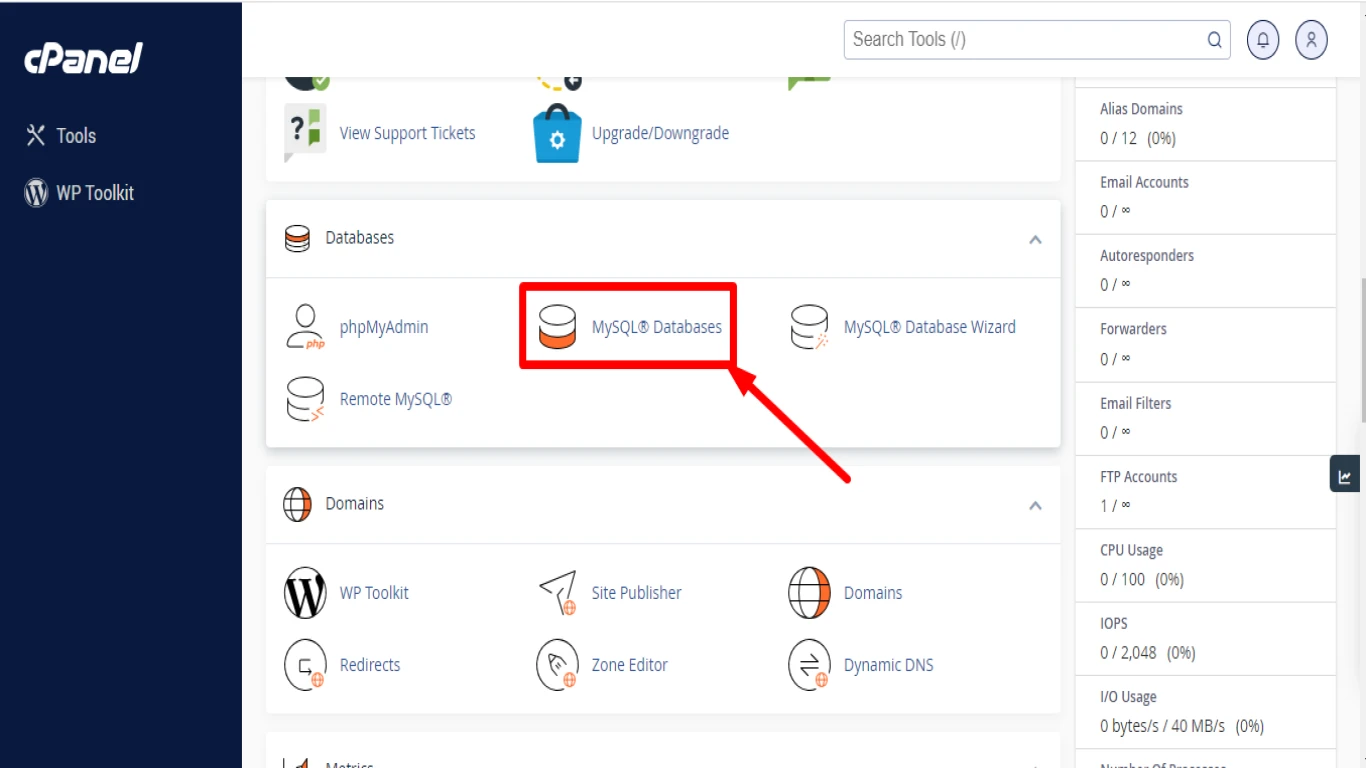 Cpanel Database Management Basics