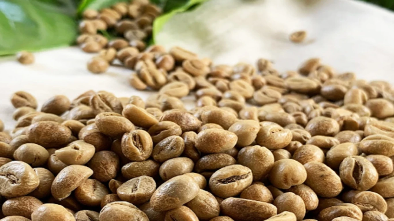 Kopi Wonosalam dan Prospek Bisnis Kopinya