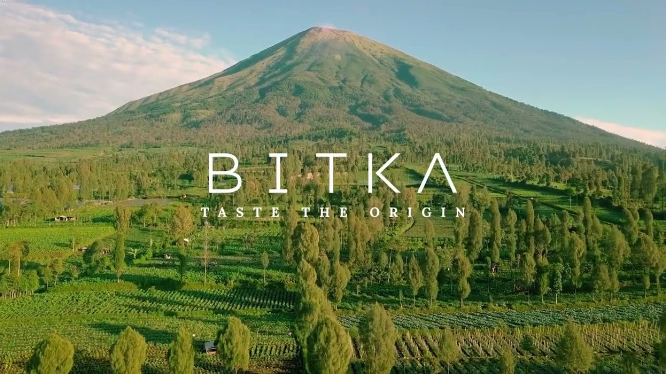 Membedakan excelsa Berkualitas Tinggi
