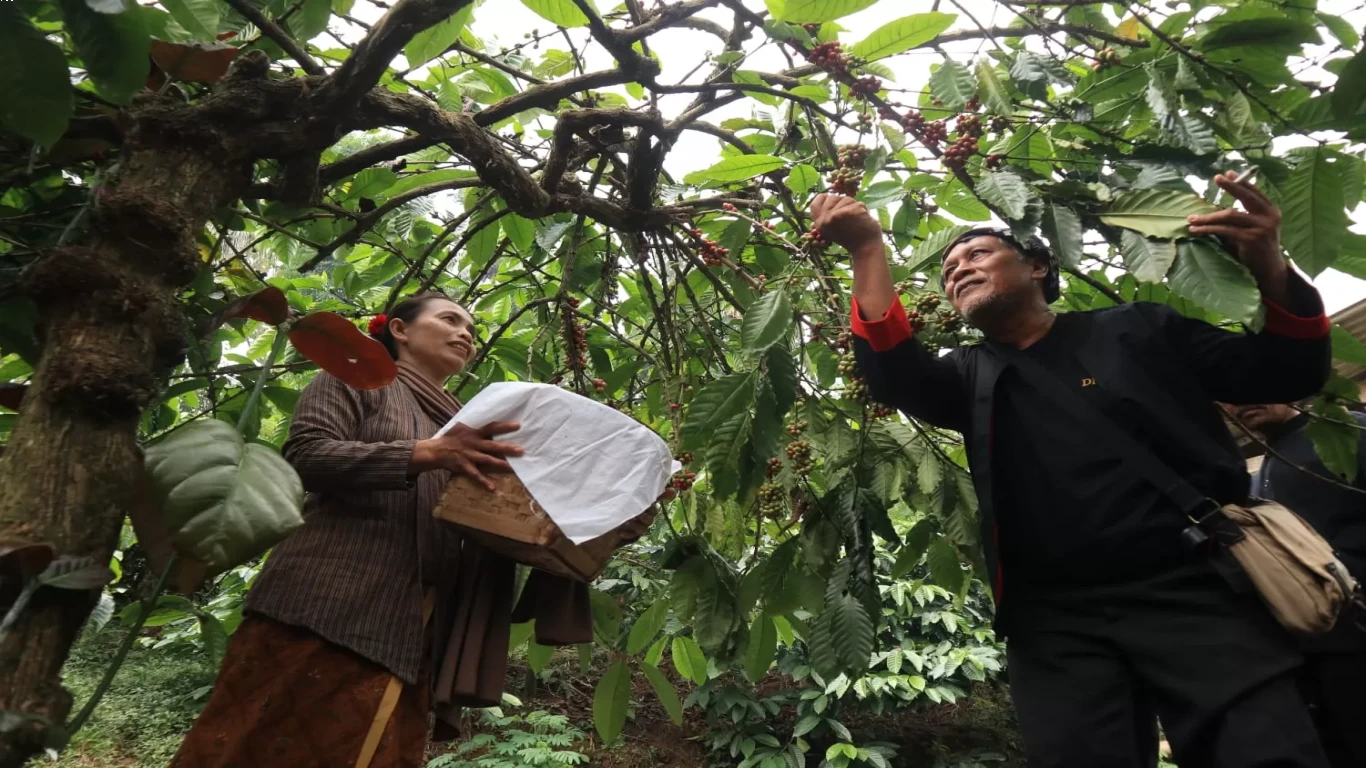Keindahan Alam Wonosalam dan Kopi yang Tumbuh di Sana