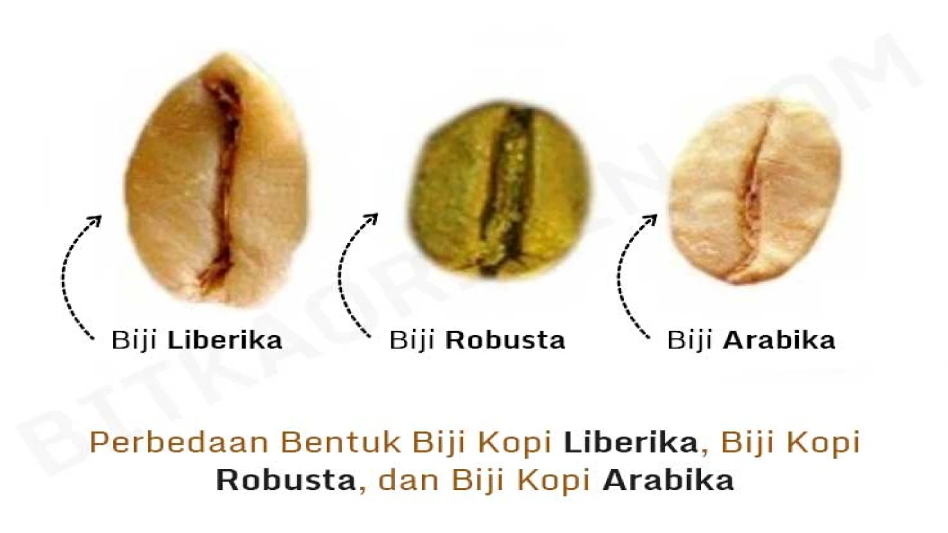 Arabika dalam Dunia Kuliner