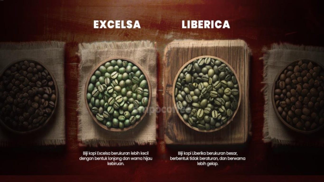 Inovasi Minuman dari excelsa
