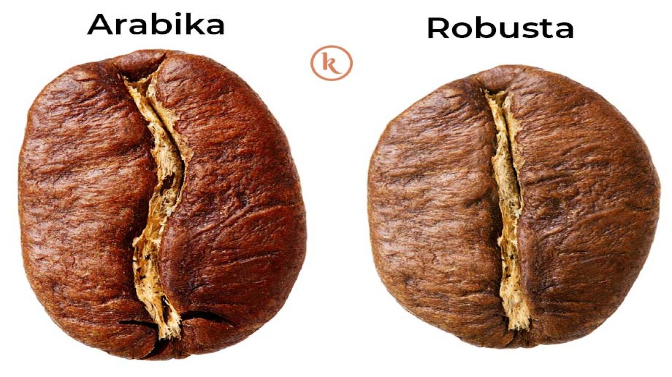 Kopi robusta sebagai Identitas Daerah