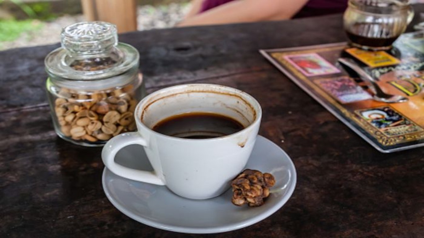 Memilih Kopi Luwak yang Berkualitas