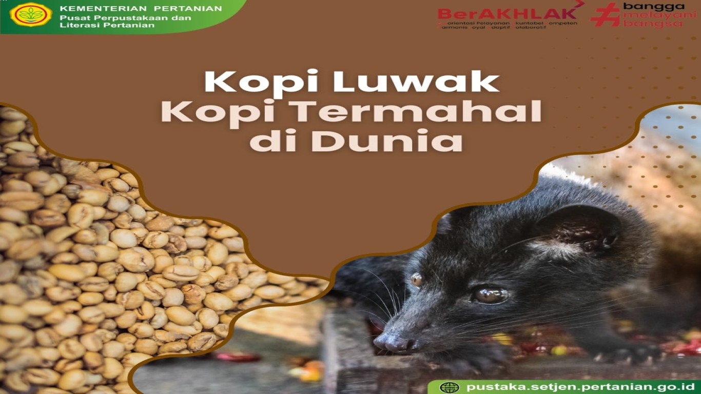 Kopi Luwak dan Keberlanjutannya dalam Dunia Kopi
