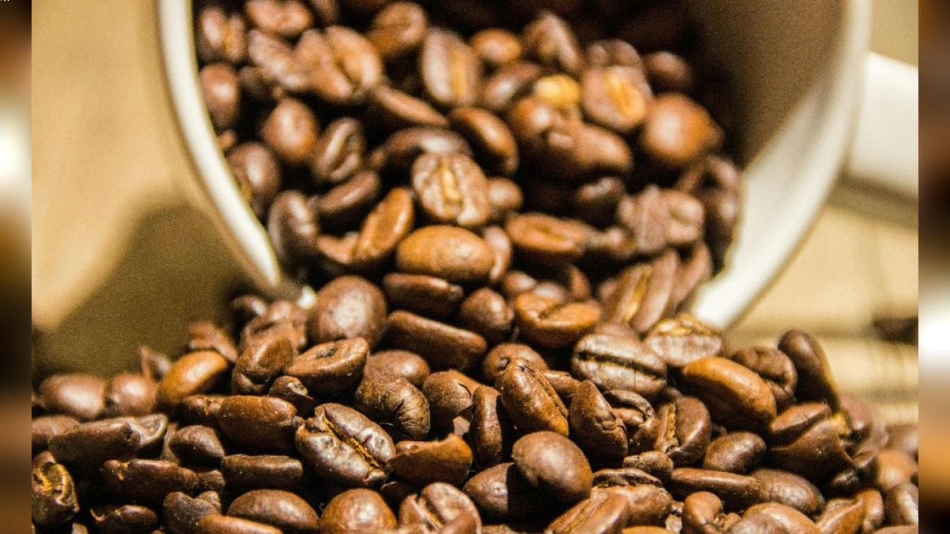 Mengapa Kopi Luwak Sangat Populer di Kafe-kafe Terkenal