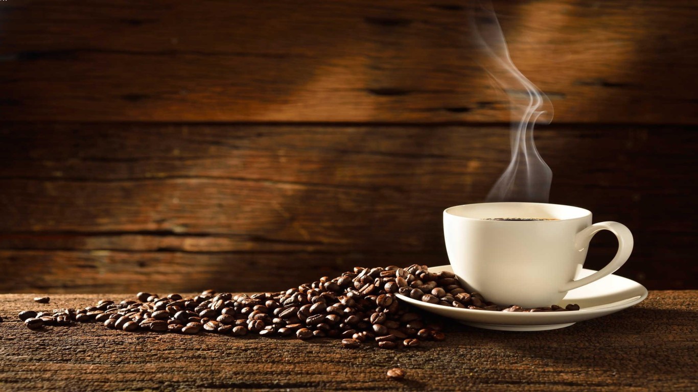 Mengenal Karakteristik Kopi Luwak yang Mempesona
