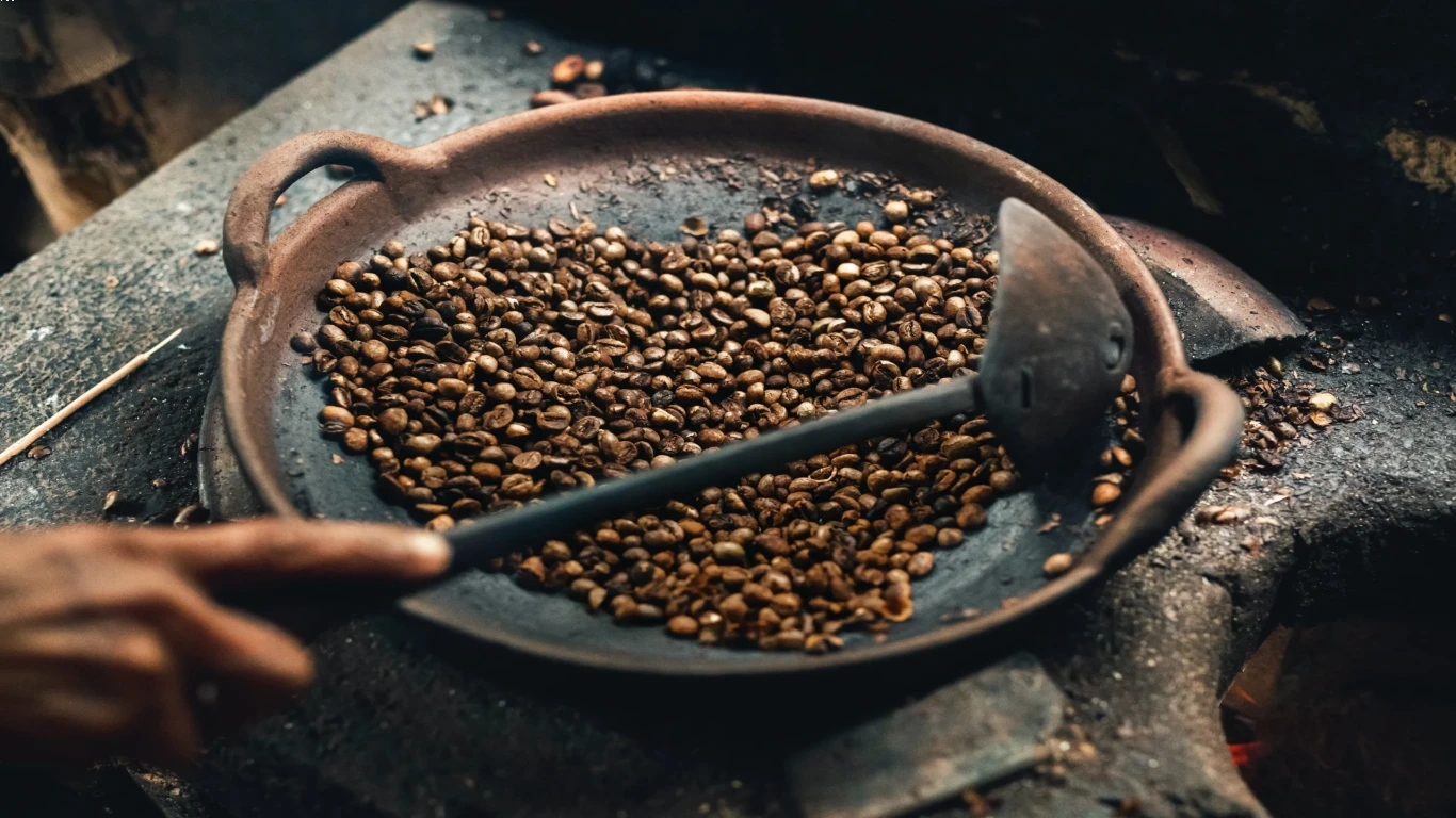 Mengapa Kopi Luwak Banyak Digemari oleh Penikmat Kopi