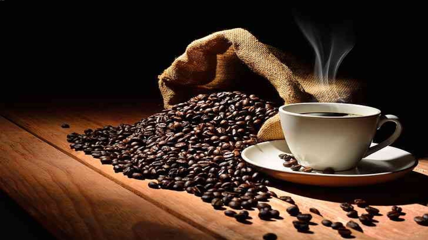 Kopi Luwak dan Prospek Bisnis Kopi Indonesia