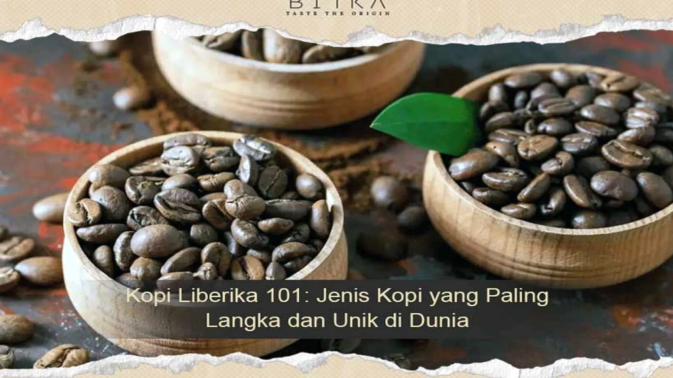 Perbedaan excelsa dan Jenis Lain