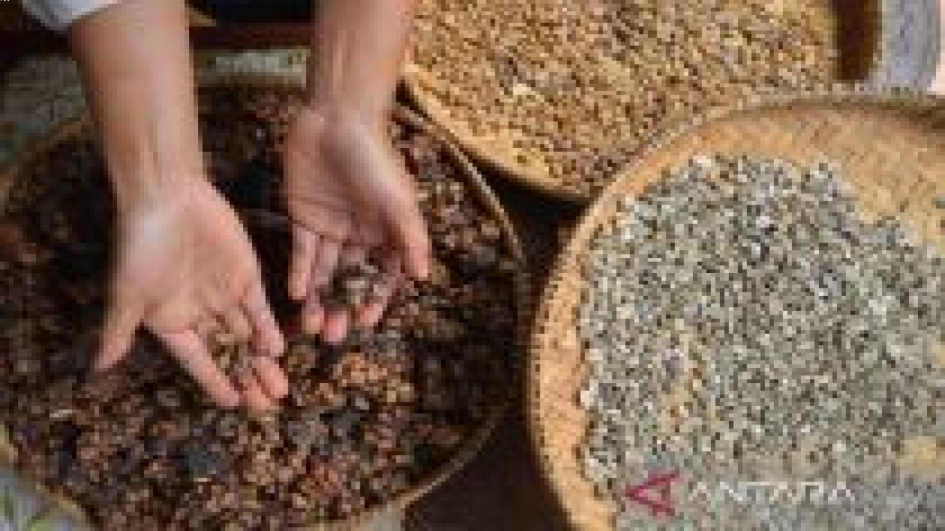 Kopi Luwak dan Keberadaannya di Pasar Global