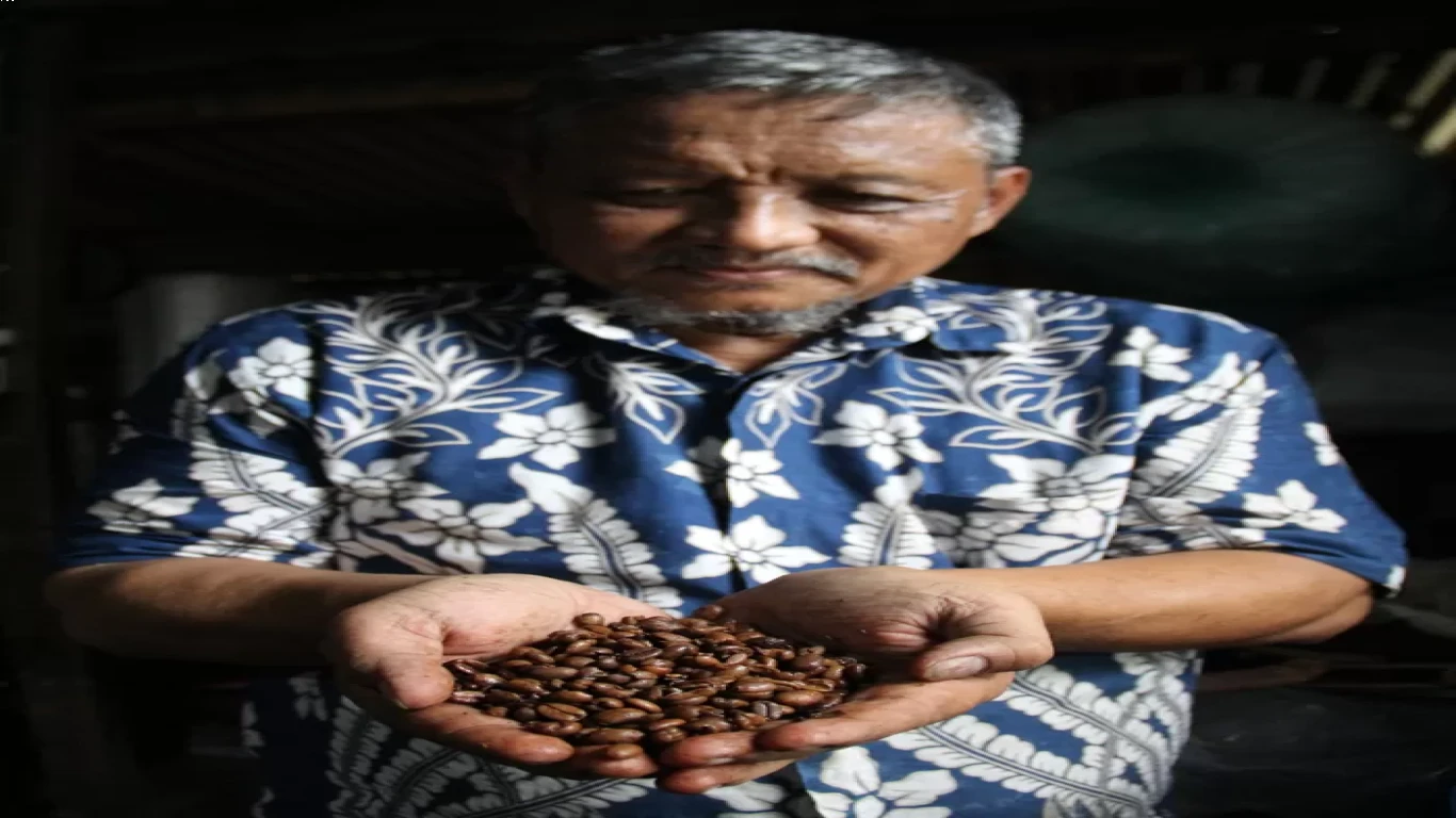 Proses Pengolahan Kopi Wonosalam yang Menarik