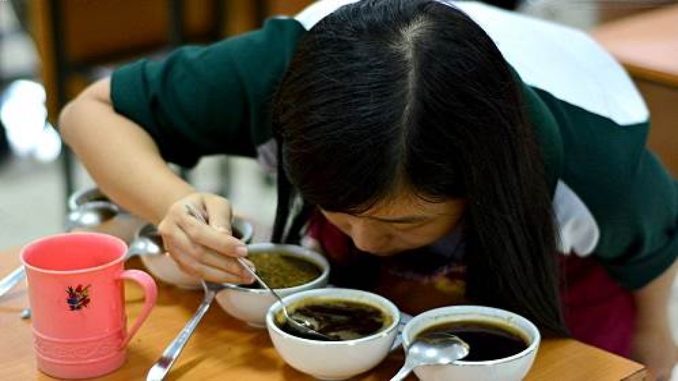Kopi Wonosalam dan Keberagaman Rasanya