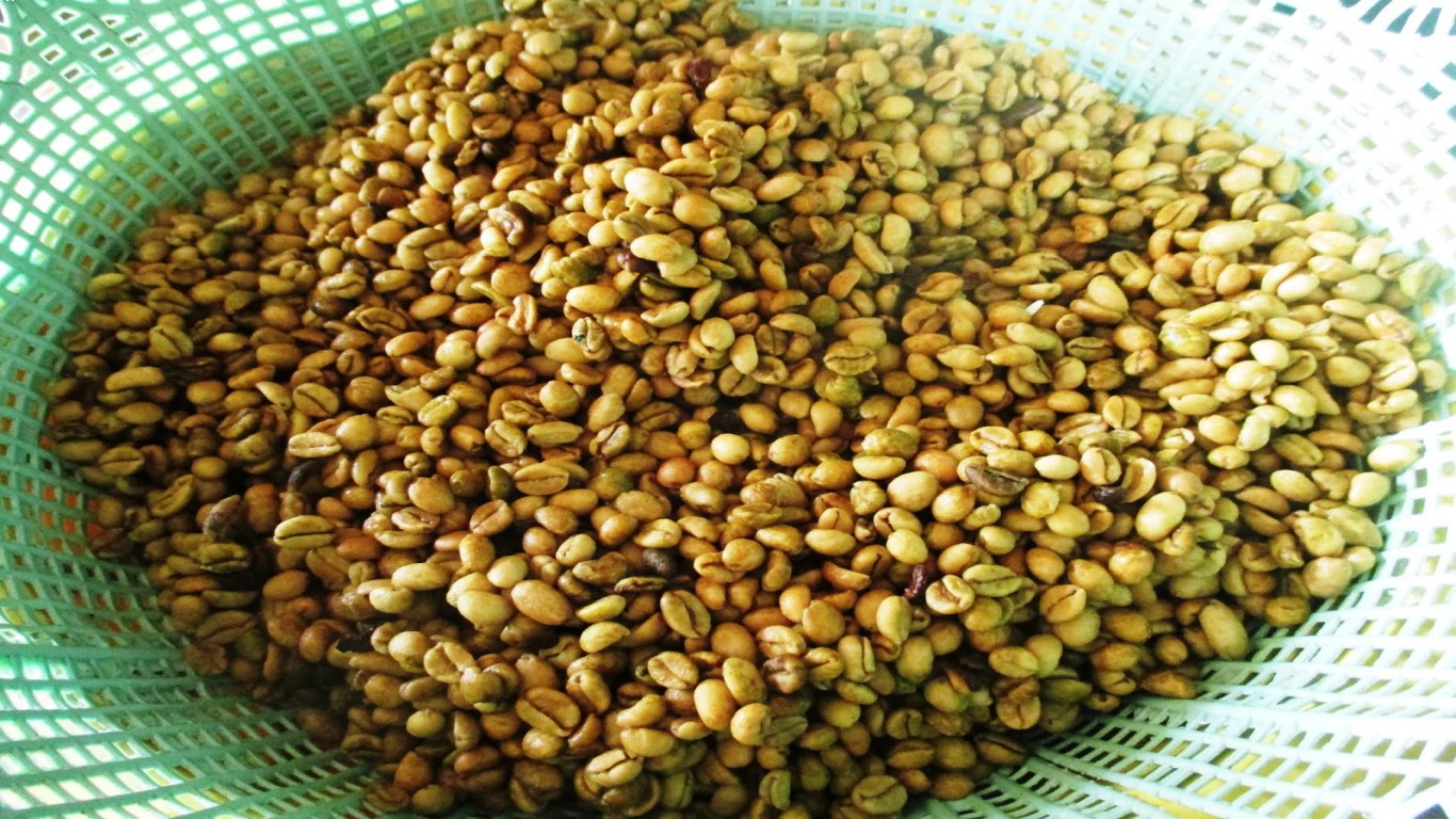 Kopi Wonosalam dan Peranannya dalam Mengembangkan Ekonomi Desa