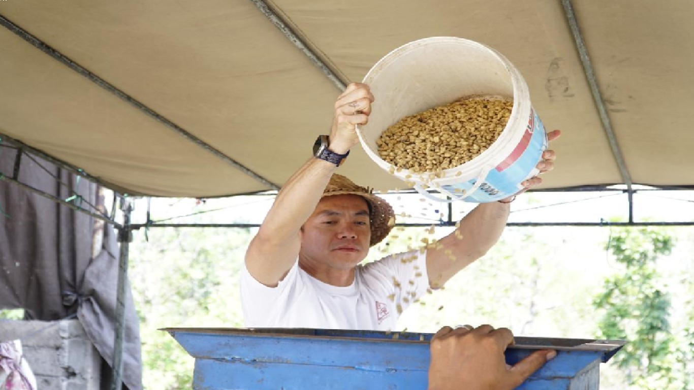 Kopi Wonosalam dan Dampaknya Terhadap Kehidupan Sosial