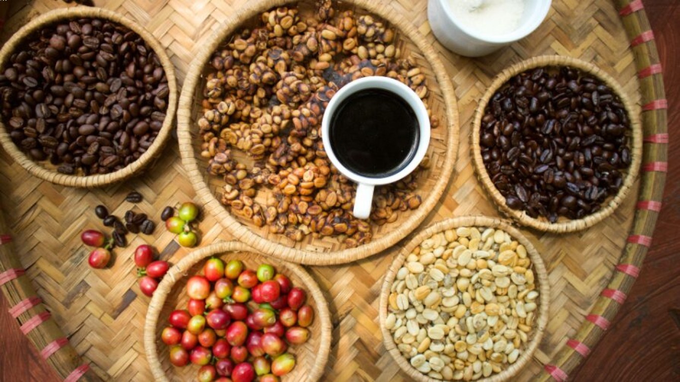 Perjalanan Kopi Luwak dari Kebun hingga Tangan Konsumen