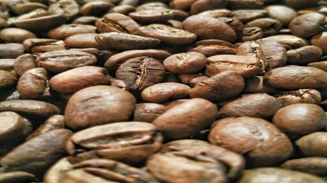 Kopi Luwak dalam Industri Kopi Spesialti di Indonesia