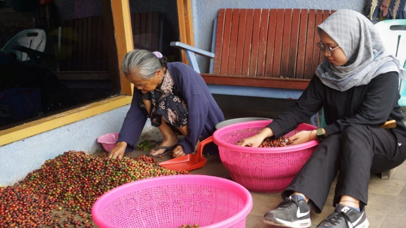 Kopi Wonosalam dan Peluang Usaha di Sektor Kopi