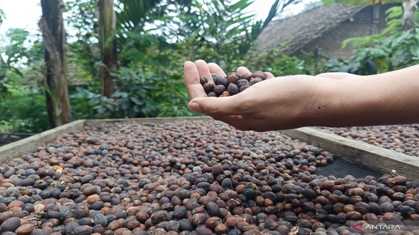 Kopi Wonosalam dalam Dunia Kuliner Internasional